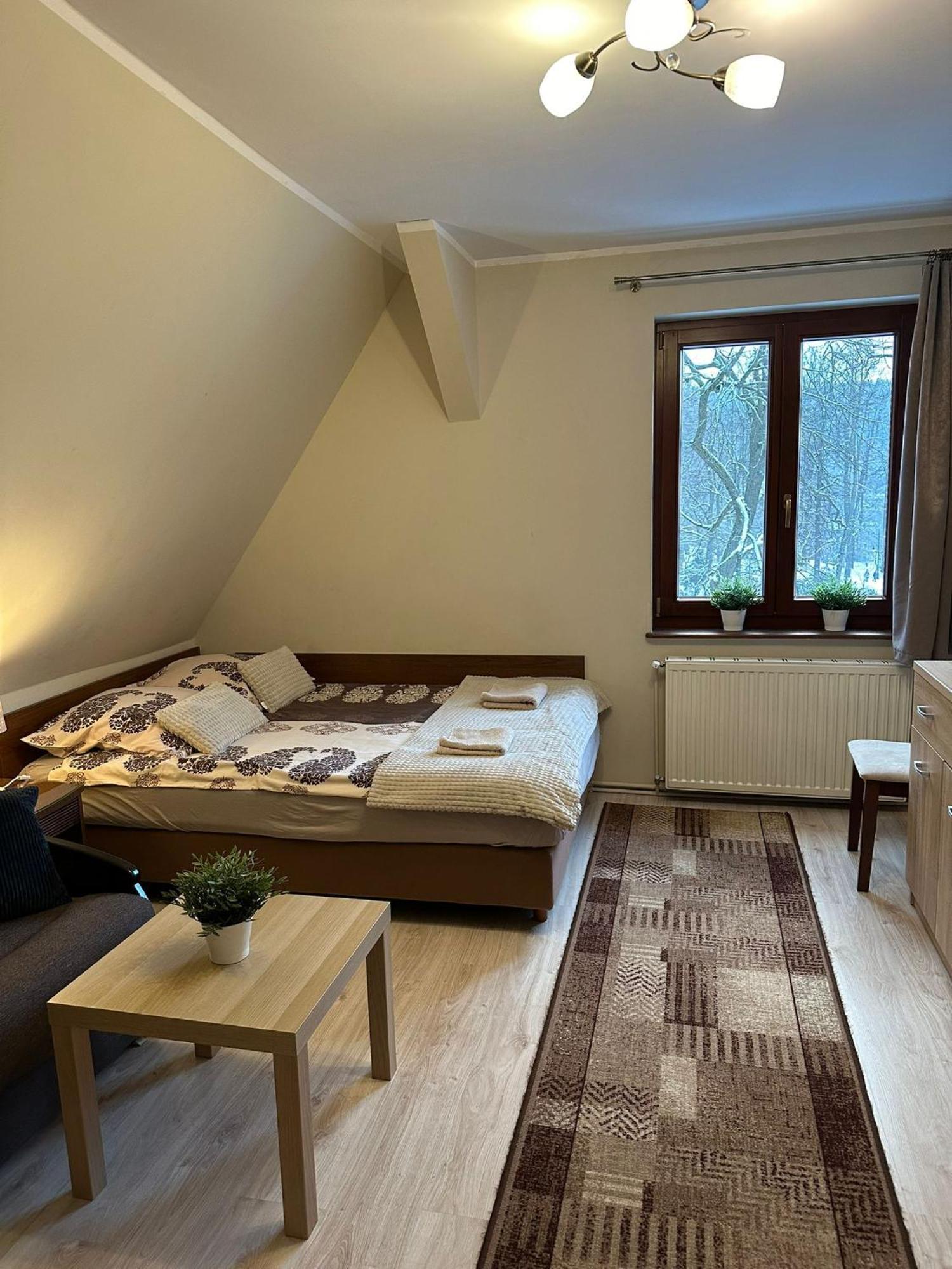 Apartment Apartament Zlota Palma Lądek-Zdrój
